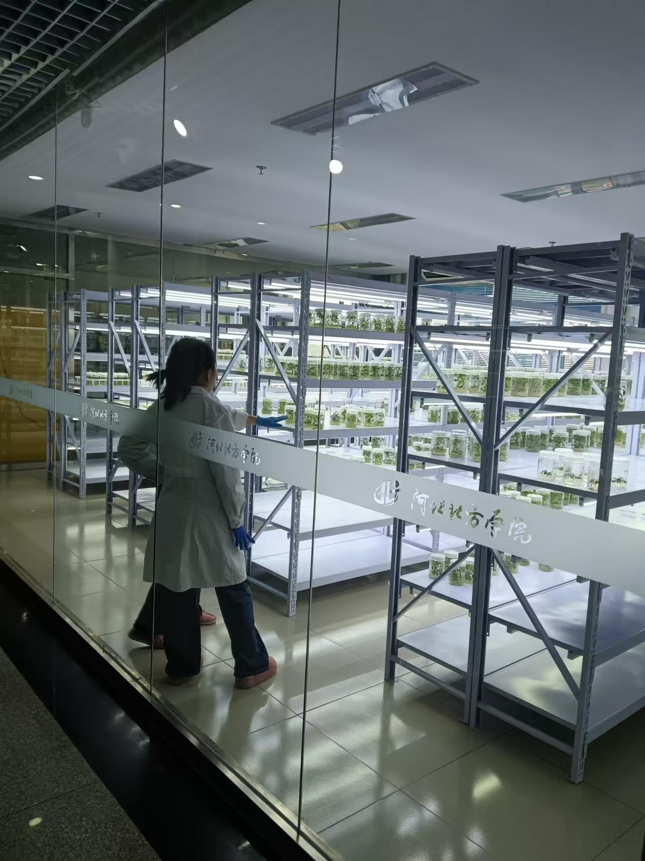 上海植物组培室设计的基本布局有哪些？